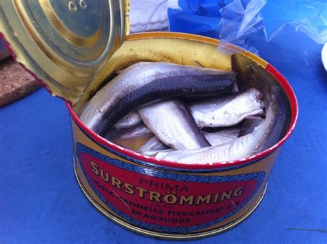 worst smelling fish in a can|Surströmming